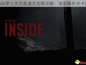 Inside第七关完美通关攻略详解：深度解析关卡策略