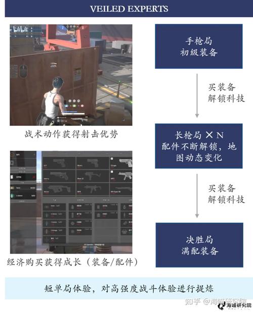 VEILED EXPERTS联机方法详解与联机失败解决方案手册